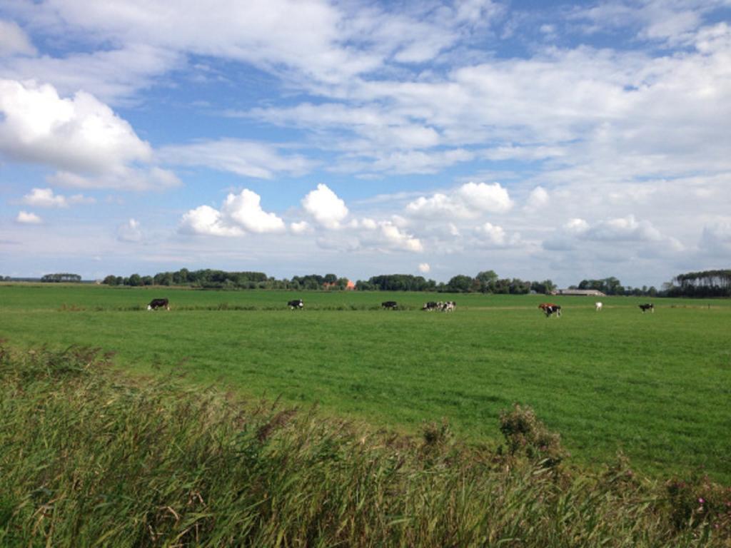 Lutje Hoeske Tinallinge Esterno foto