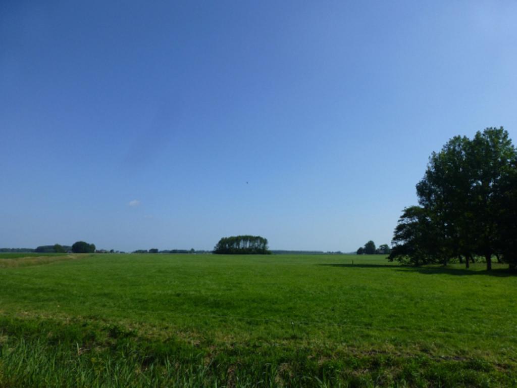 Lutje Hoeske Tinallinge Esterno foto