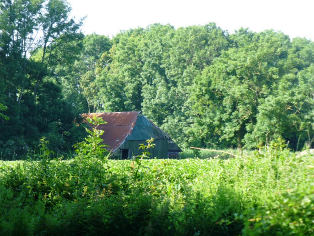 Lutje Hoeske Tinallinge Esterno foto